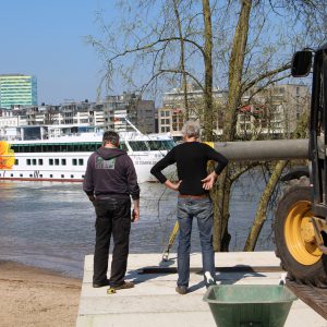 6. De Zonnebloem  komt even kijken.